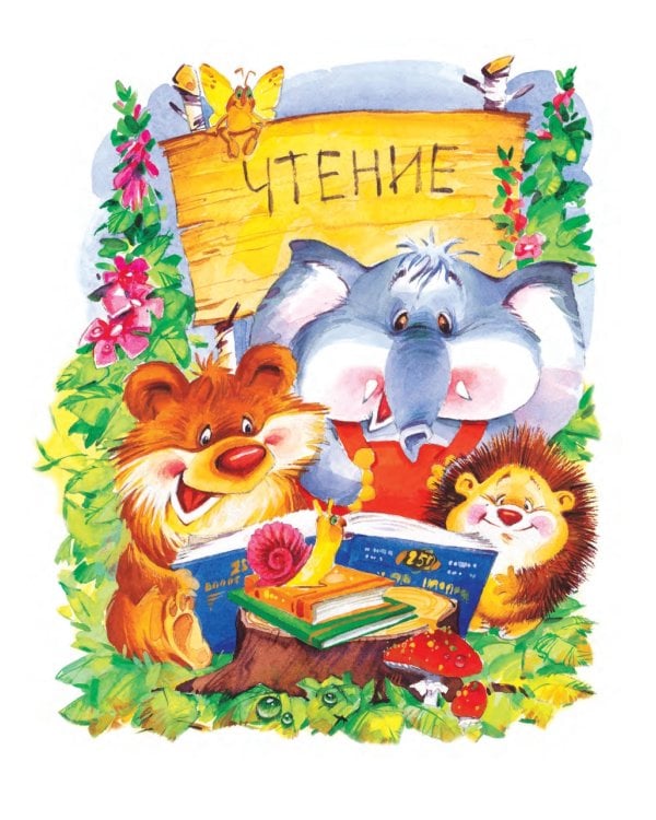 Познавайка