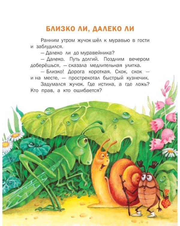 Познавайка