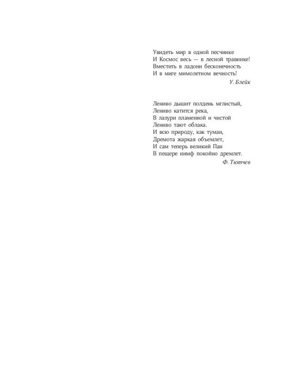 Песня безымянного леса