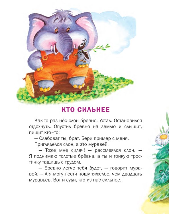 Познавайка