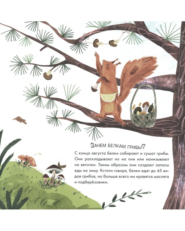 Подсказки в сказке. Куда исчезла Капелька?