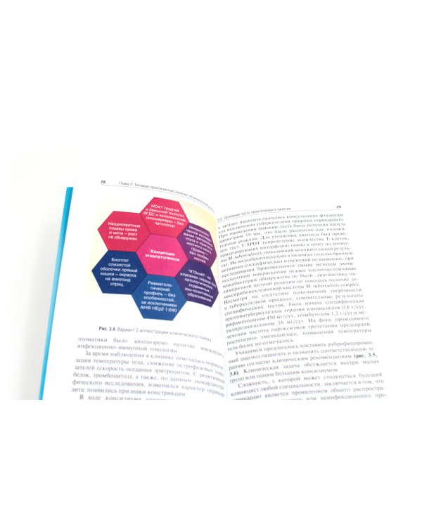 Школа мастерства по терапии: Учебно-методическое пособие