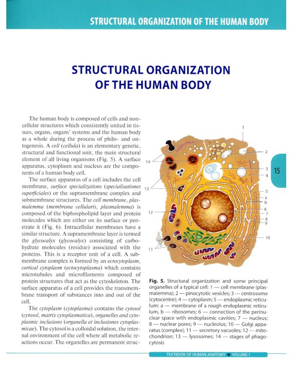 Textbook of Human Anatomy. In 3 vol. Vol. 1. Locomotor apparatus = Анатомия человека: Учебник на английском языке