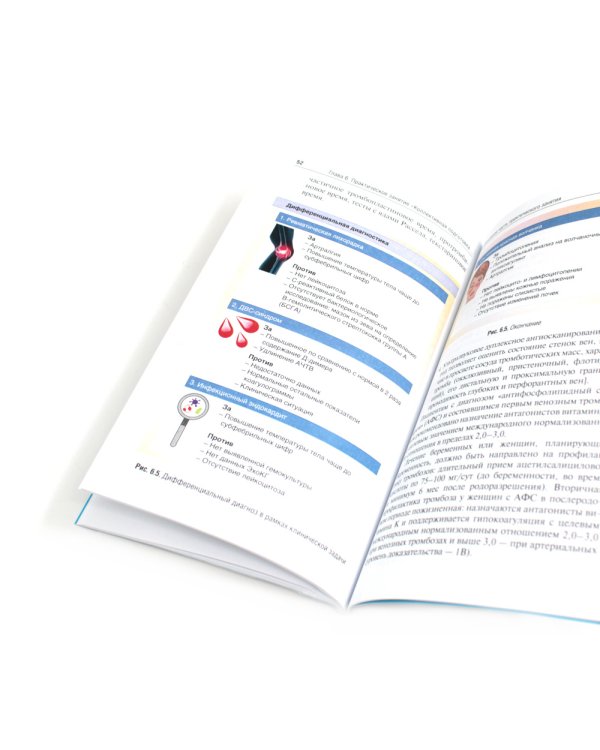 Школа мастерства по терапии: Учебно-методическое пособие