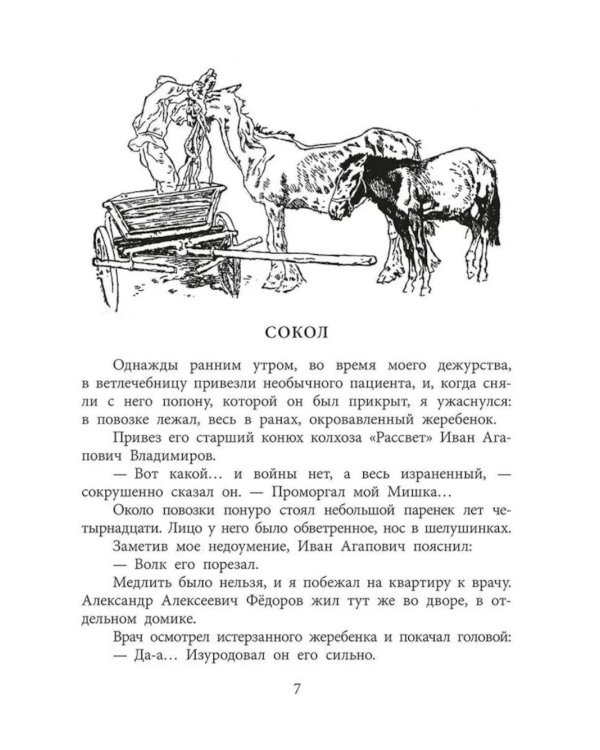 Пират, ищи!: рассказы