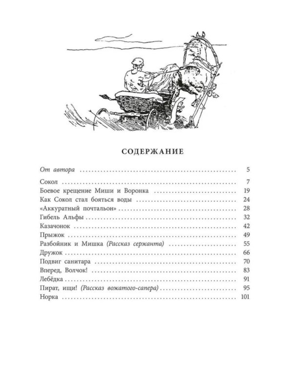 Пират, ищи!: рассказы