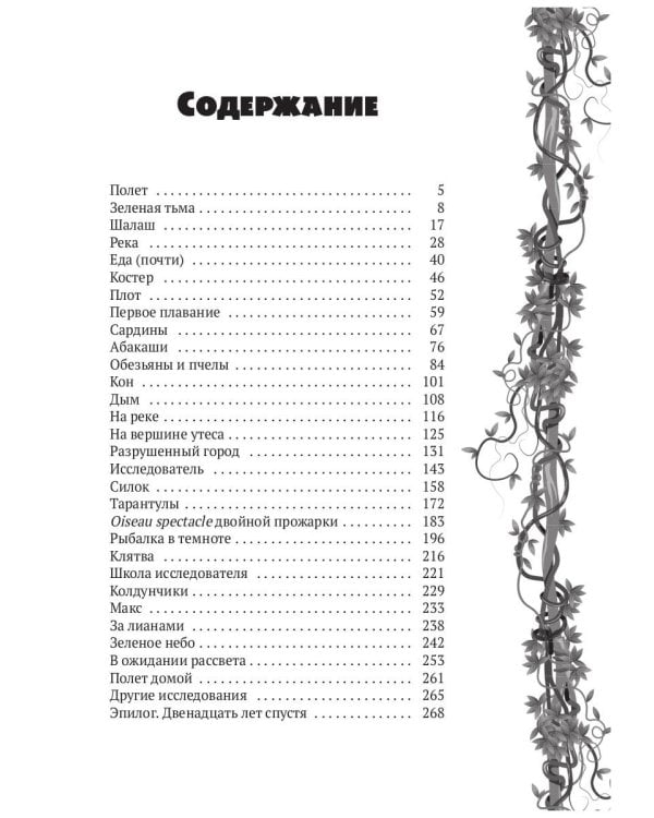 Исследователь: роман