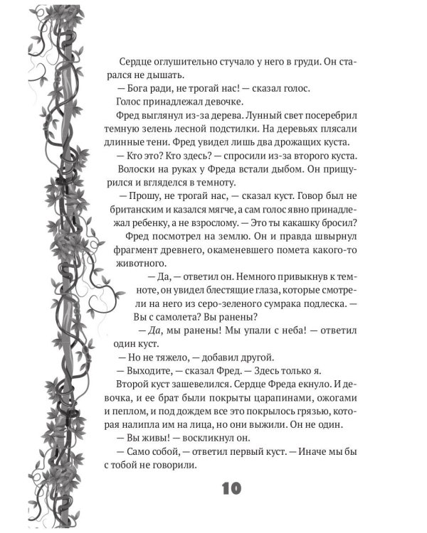 Исследователь: роман