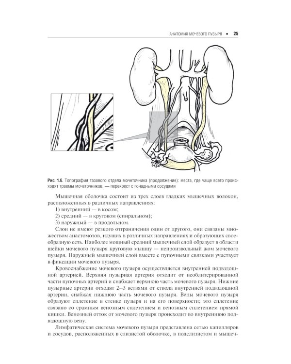 Экстренная урогинекология