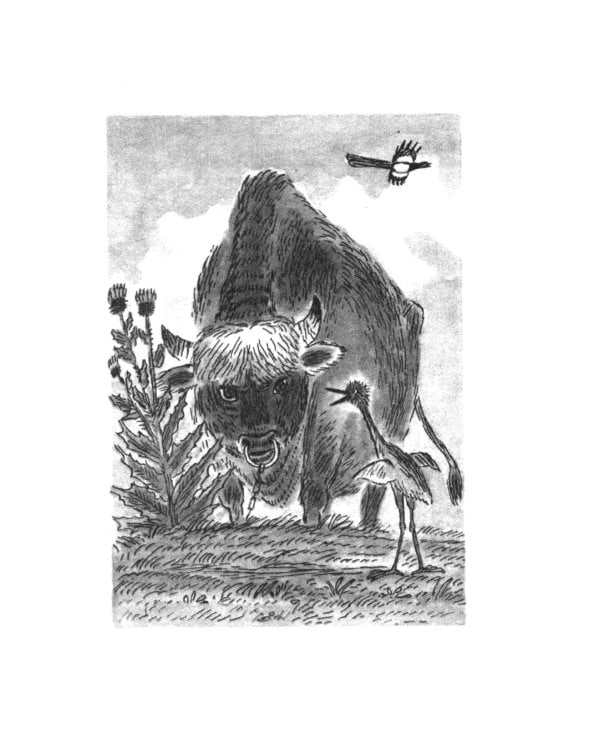 Волшебные очки