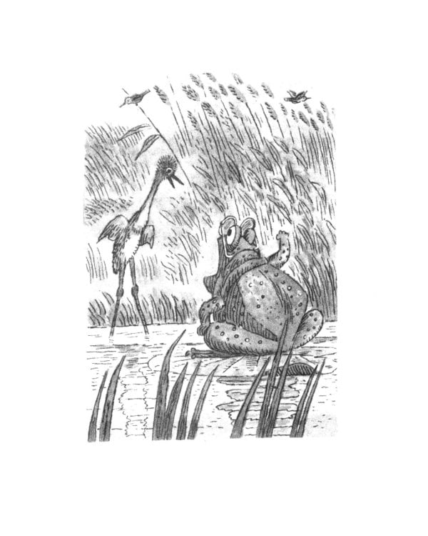 Волшебные очки