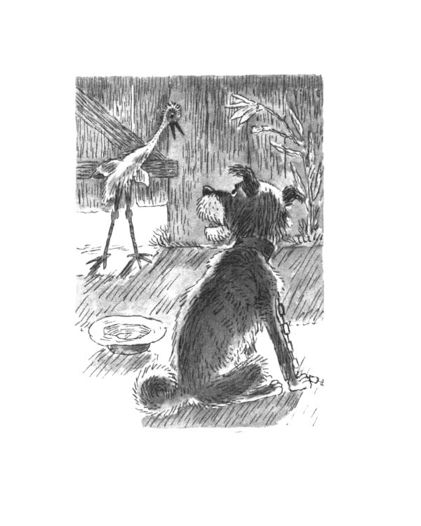 Волшебные очки