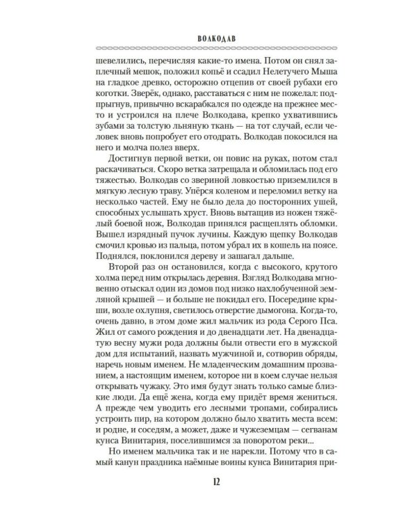 Волкодав: (к 30-летию первого издания): роман