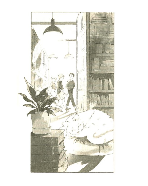 Загадка книги "Феникс"