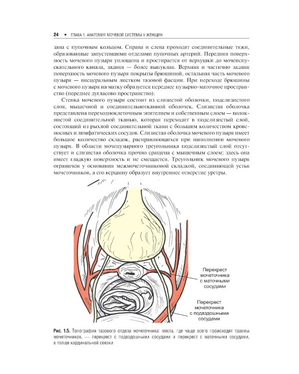 Экстренная урогинекология