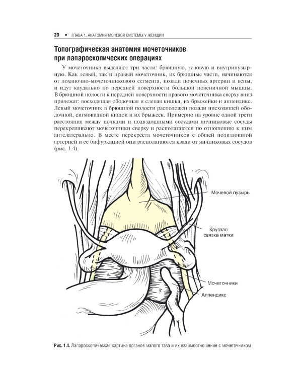 Экстренная урогинекология