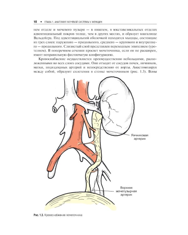 Экстренная урогинекология