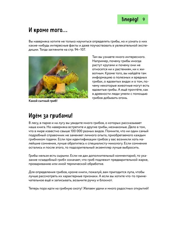 Грибы. Краткий иллюстрированный справочник