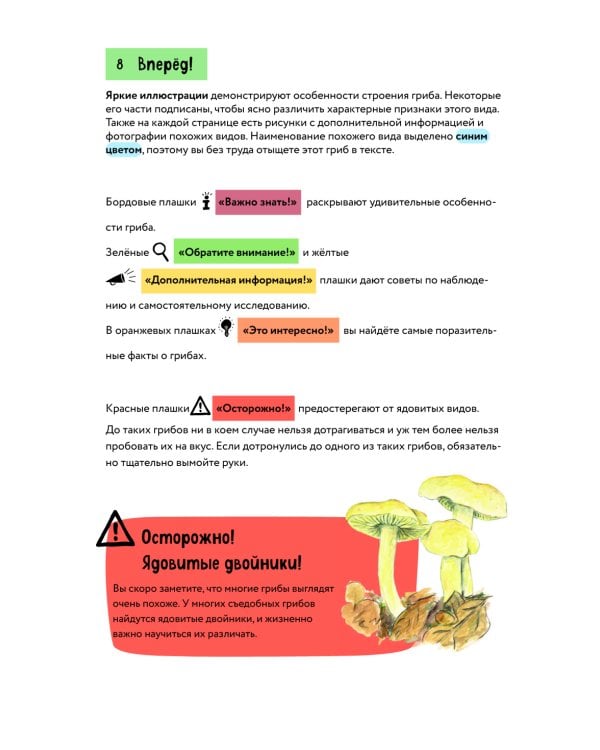 Грибы. Краткий иллюстрированный справочник