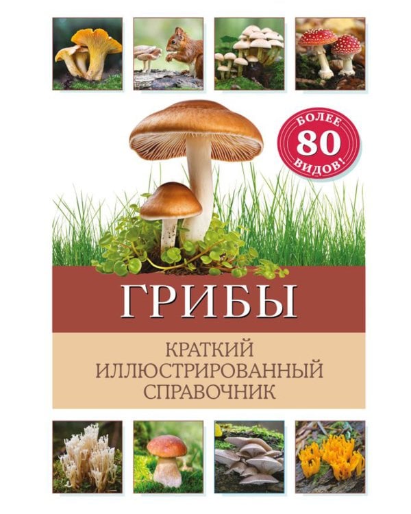 Грибы. Краткий иллюстрированный справочник