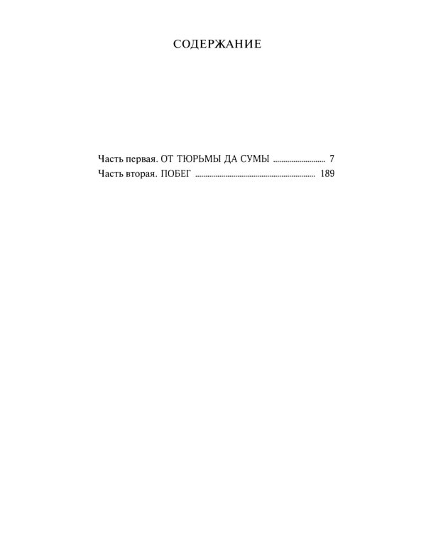 Жизнь и необычайные приключения солдата Ивана Чонкина. Кн. 2: Претендент на престол (Лицо привлеченное): роман