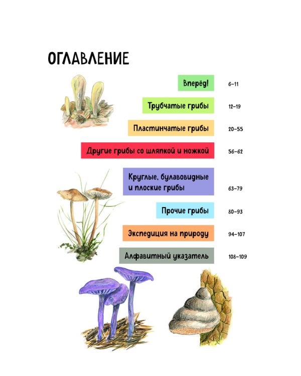 Грибы. Краткий иллюстрированный справочник