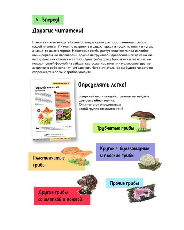 Грибы. Краткий иллюстрированный справочник