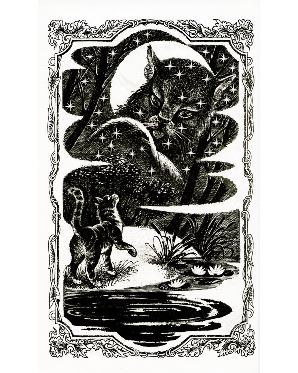 Коты-воители. Гроза Ежевичной Звезды. Кн. 2. Вода и Кровь