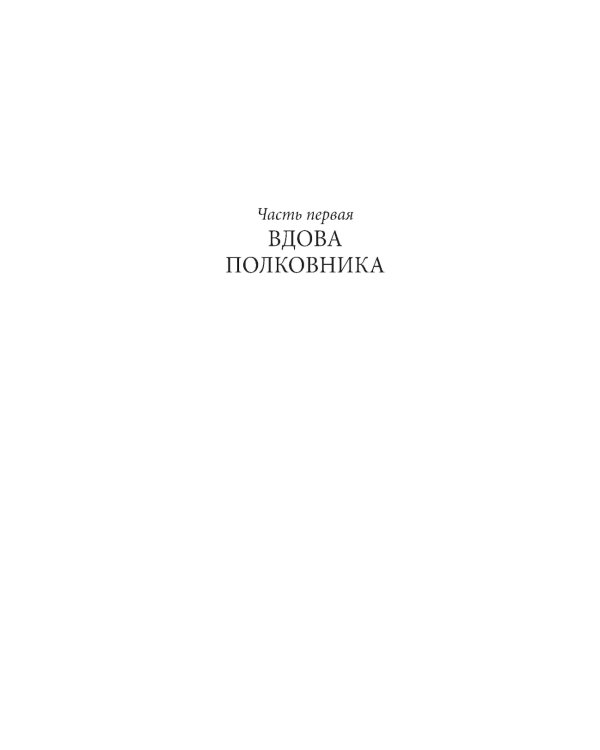 Жизнь и необычайные приключения солдата Ивана Чонкина. Кн. 3: Перемещенное лицо: роман