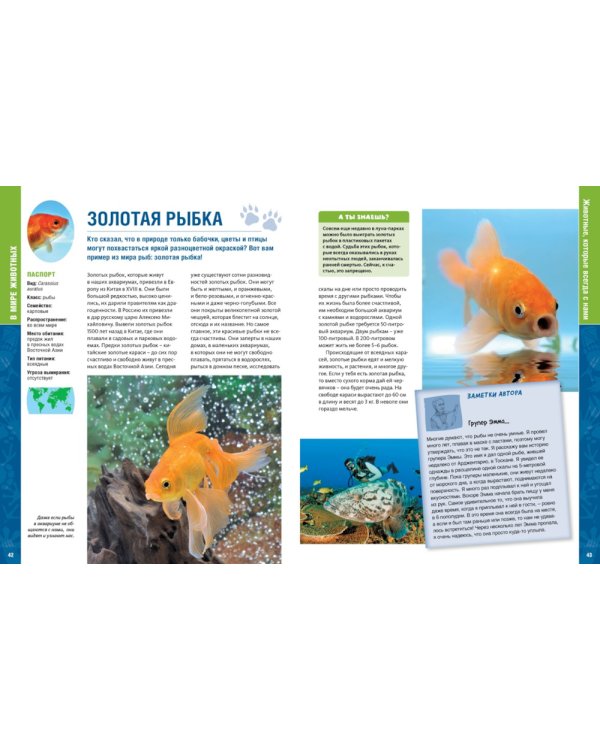 В мире животных. Энциклопедия