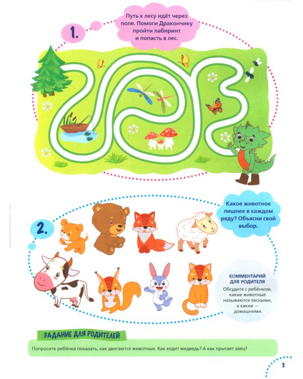 Годовой курс развития внимания у ребенка. 4-5 лет