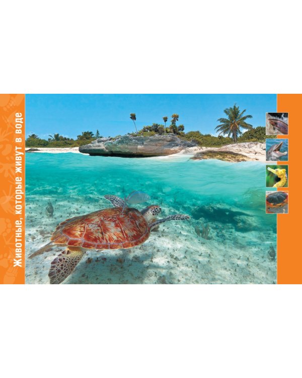 В мире животных. Энциклопедия