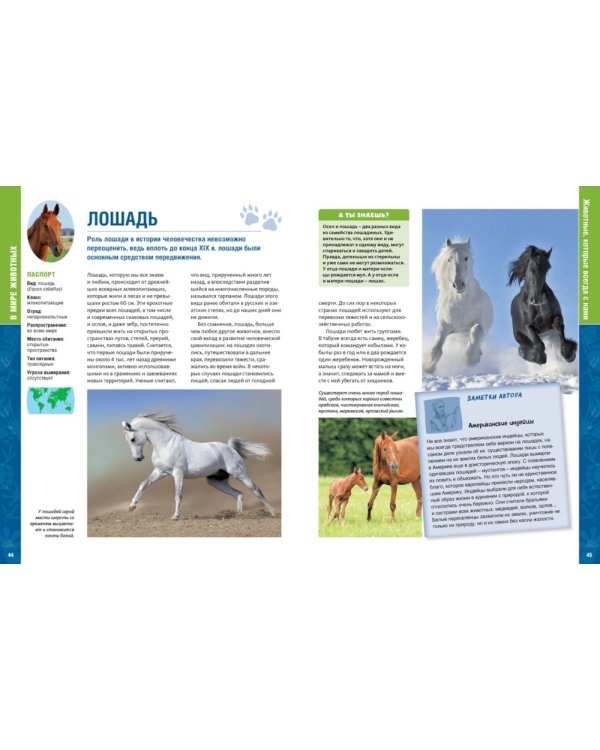 В мире животных. Энциклопедия