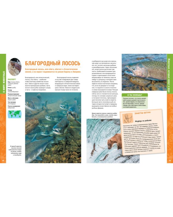 В мире животных. Энциклопедия