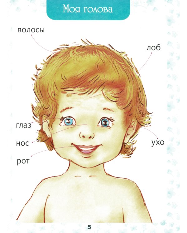 Первая книга малыша. Энциклопедия для детей от 6 месяцев и старше