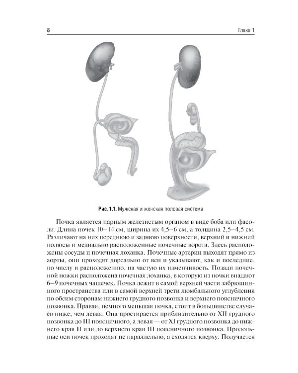 Хирургия подковообразных почек в детском возрасте: Учебное пособие