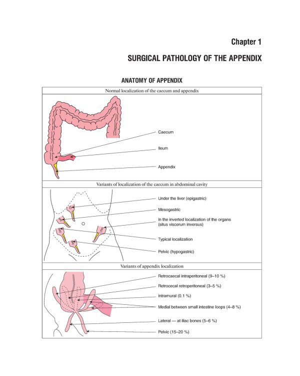 The Course of Faculty (Analitical) Surgery in Pictures, Tables and Schemes