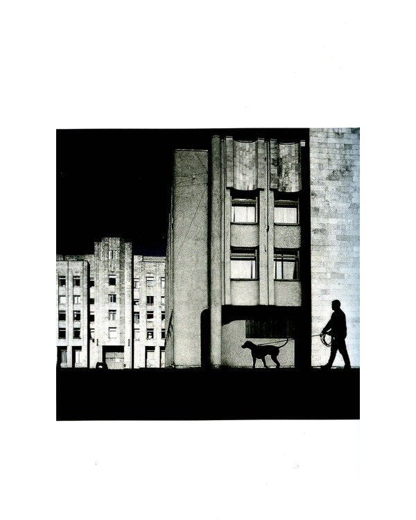 Восемь миллиардов Золушек: сборник эссе