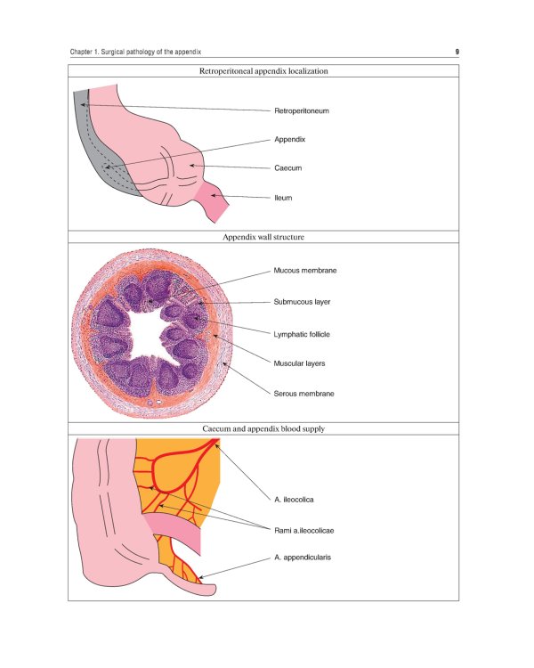 The Course of Faculty (Analitical) Surgery in Pictures, Tables and Schemes