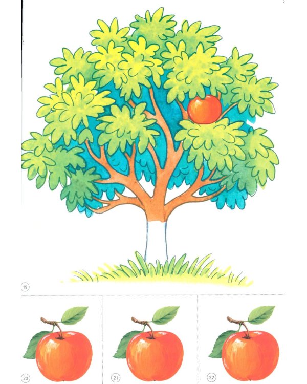 Дошкольная математика для детей 3-4 лет с ОВЗ: Демонстрационный материал 1-й год обучения