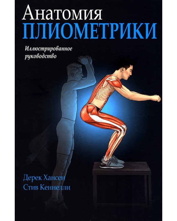 Анатомия плиометрики