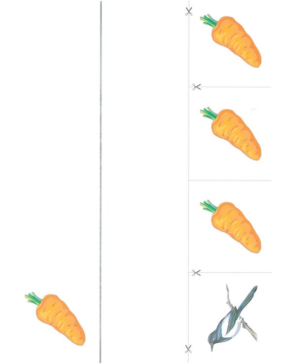 Разрезной раздаточный материал. Формирование элементарных математических представлений у дошкольников 4-5 лет