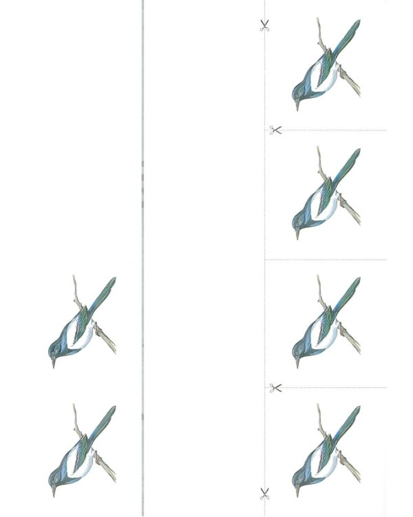 Разрезной раздаточный материал. Формирование элементарных математических представлений у дошкольников 4-5 лет