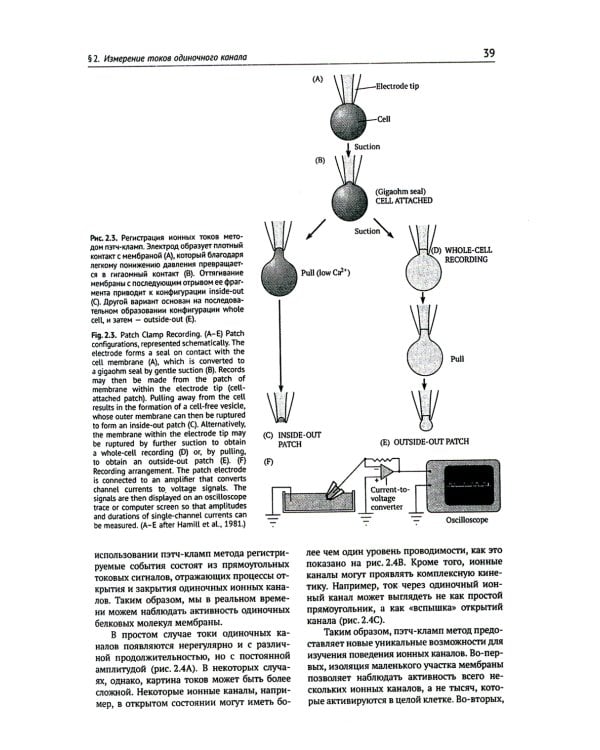 От нейрона к мозгу. 6-е изд