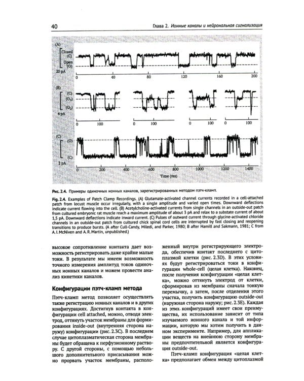 От нейрона к мозгу. 6-е изд