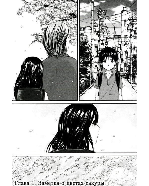 5 сантиметров в секунду (манга)