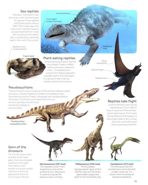 Eyewitness - Dinosaur