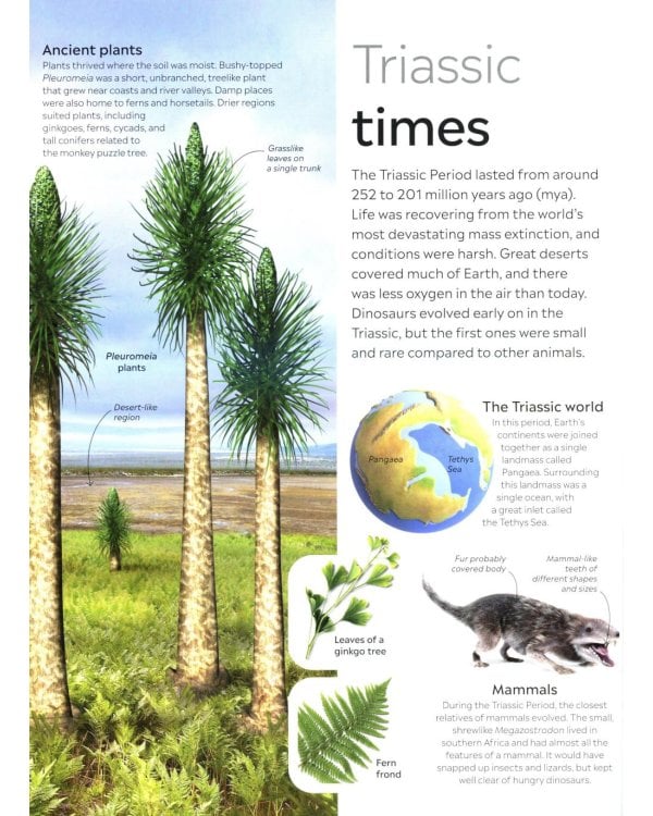 Eyewitness - Dinosaur