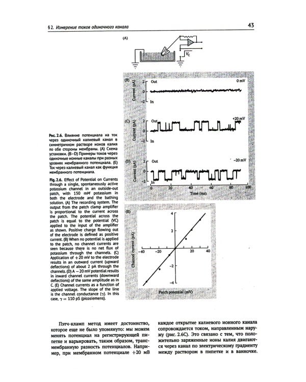 От нейрона к мозгу. 6-е изд