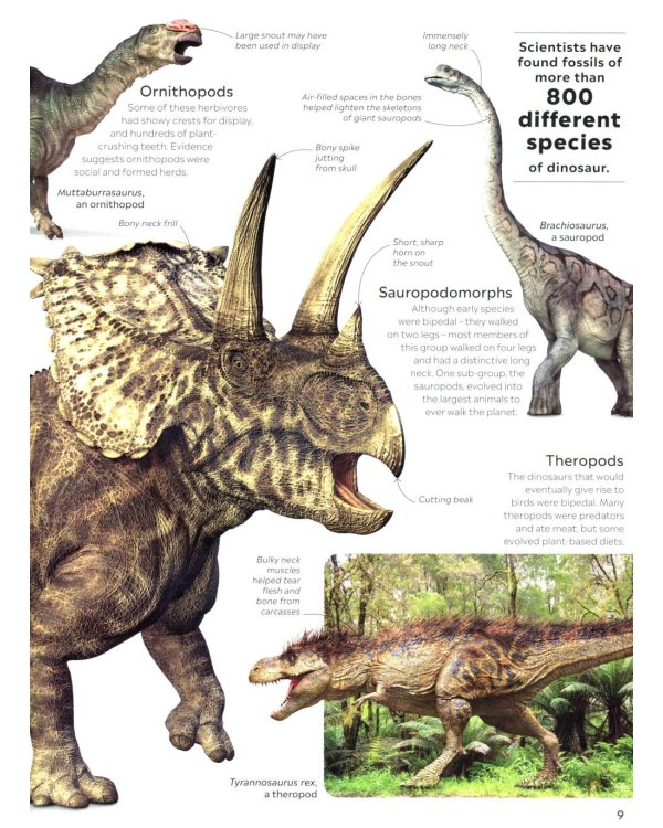 Eyewitness - Dinosaur